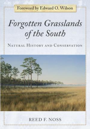 Cover of the book Forgotten Grasslands of the South by Timothy Beatley, Lucie Laurian, Dale Medearis, Wulf Daseking, Michaela Bruel, Maria Jaakkola