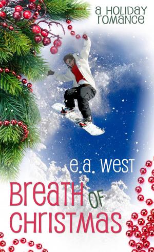 Cover of the book Breath of Christmas by Heidi Glick