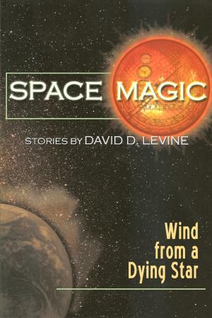 Cover of the book Wind from a Dying Star by David D. Levine, Sara A. Mueller