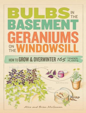 Cover of Bulbs in the Basement, Geraniums on the Windowsill