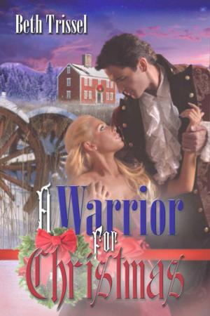 Cover of the book A Warrior for Christmas by Sarita  Leone