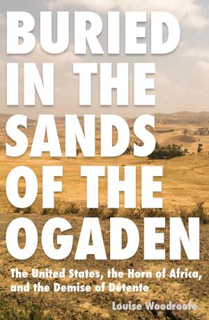 Cover of the book Buried in the Sands of the Ogaden by Eric J. Wittenburg, Michael Aubrecht