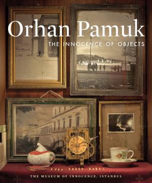 Book cover of The Innocence of Objects