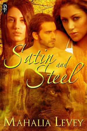 Cover of the book Satin and Steel by Ashlyn Hunter