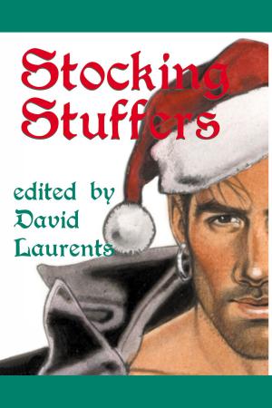 Cover of the book Stocking Stuffers: Gay Erotic Christmas Tales by Cecilia Tan, Pagan O'Leary, Raven Kaldera, Bryn Haniver, Kate Hill, Elizabeth Thorne, Mary Anne Mohanraj, Steve Eller, Renee M. Charles, Margaret L. Carter, Gary Bowen, Cathering Lundoff