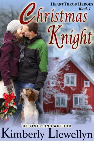 Cover of the book Christmas Knight (Heartthrob Heroes, Book 3) by Sybille Esther