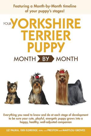 Book cover of Your Yorkshire Terrier Puppy Month by Month