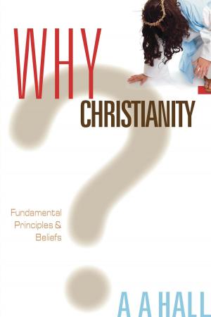 Cover of the book Why Christianity by Daniel Dardano, Daniel Cipolla, Hernán Cipolla