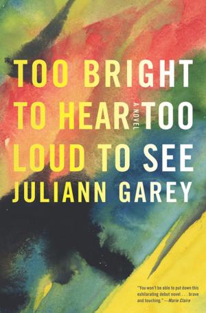 Cover of the book Too Bright to Hear Too Loud to See by Emily France
