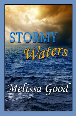 Cover of the book Stormy Waters by Jeanine Hoffman