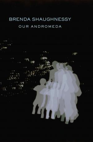 Cover of the book Our Andromeda by Brenda Shaughnessy