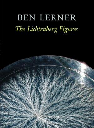 Book cover of The Lichtenberg Figures