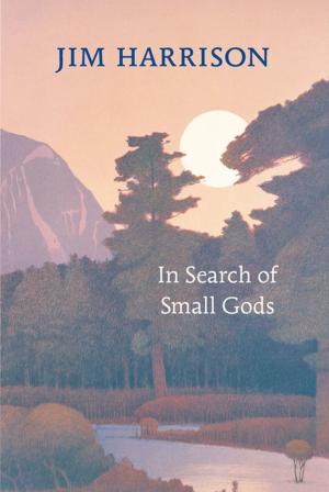 Cover of the book In Search of Small Gods by Southpawdoesart