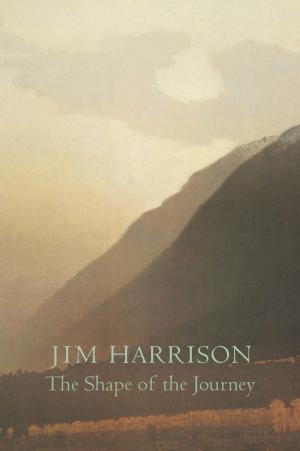 Book cover of The Shape of the Journey