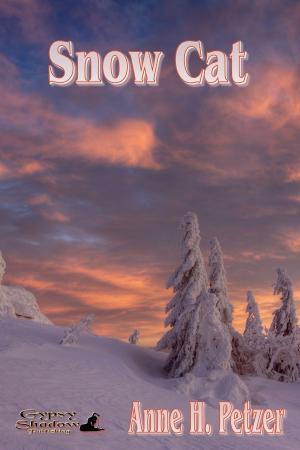 Cover of the book Snow Cat by Ben Larken