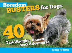 Book cover of Boredom Busters for Dogs