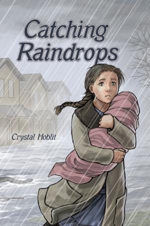 Cover of the book Catching Raindrops by Carrie Daws