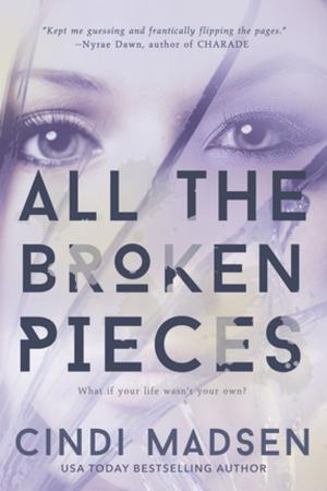 Cover of the book All the Broken Pieces by Elle Kennedy