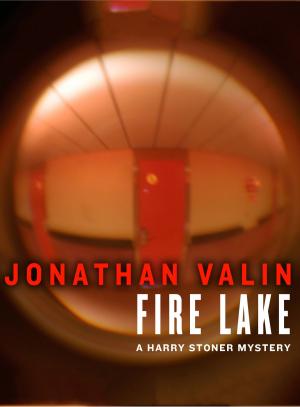 Cover of the book Fire Lake by P. C. Cast