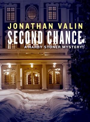 Cover of the book Second Chance by Sharon Lynn Fisher