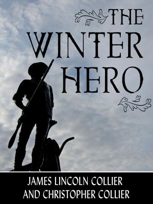 Cover of the book The Winter Hero by Patricia H. Rushford
