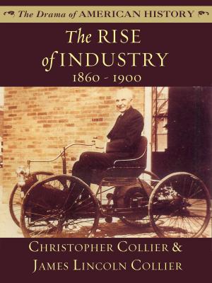 Book cover of The Rise of Industry