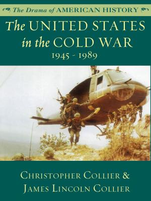 Book cover of The United States in the Cold War