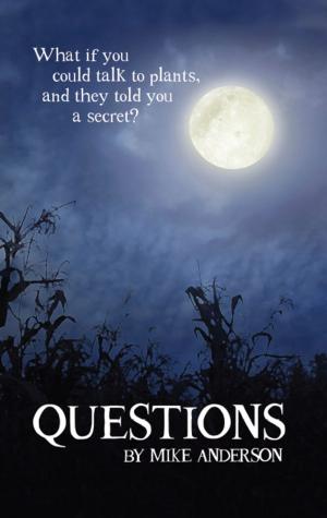 Cover of the book Questions by H.C. Wallace