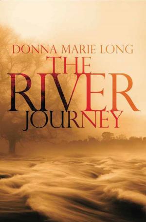 Cover of the book The River Journey by Lois Flewelling