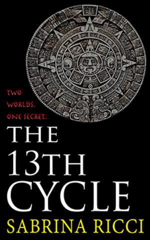 Book cover of The 13th Cycle