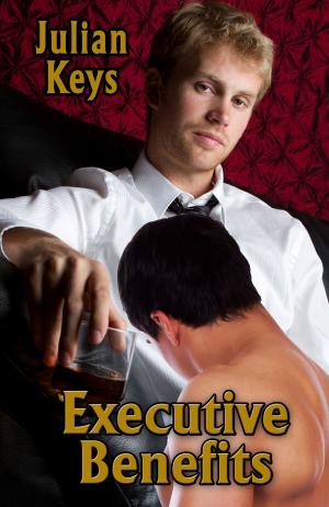 Cover of the book Executive Benefits by E.E. Grey