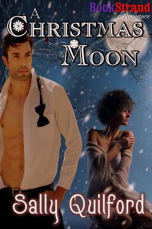 Cover of the book A Christmas Moon by Morgan Fox