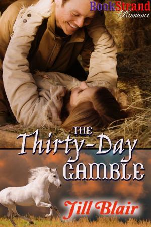 Cover of the book The Thirty-Day Gamble by Claire de Lune