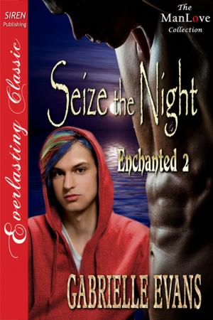 Cover of the book Seize the Night by Marcy Jacks