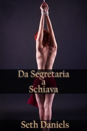 Cover of the book Da Segretaria a Schiava by Hentai King