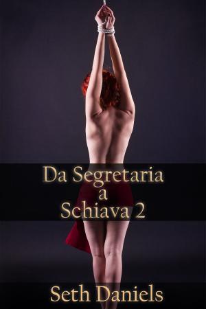 Book cover of Da Segretaria a Schiava 2