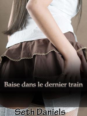 Cover of the book Baise dans le dernier train by Nicolas PETROUS, Julien SENFFICHE, Alexia TREMBLAY