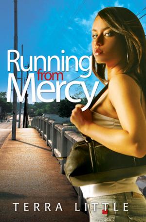 Cover of the book Running From Mercy by E.N. Joy