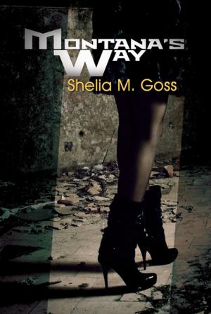 Cover of the book Montana's Way by Keisha Ervin
