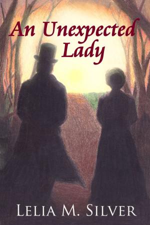 Cover of the book An Unexpected Lady by Sophie Karlis