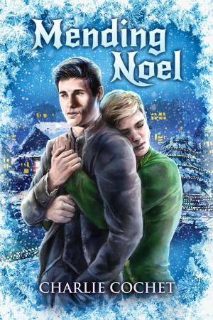Book cover of Mending Noel