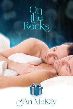 Cover of the book On the Rocks by Carolyn LeVine Topol