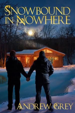 bigCover of the book Snowbound in Nowhere by 