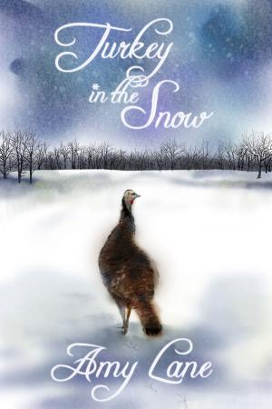Cover of the book Turkey in the Snow by TJ Klune