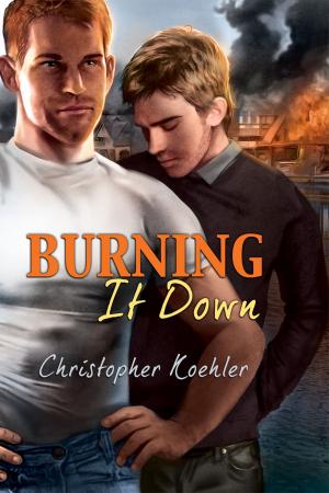Cover of the book Burning It Down by K.C. Wells