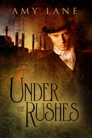 Cover of the book Under the Rushes by S.A. Stovall