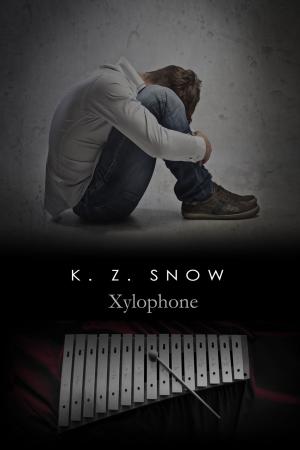 Cover of the book Xylophone by Angel Jendrick