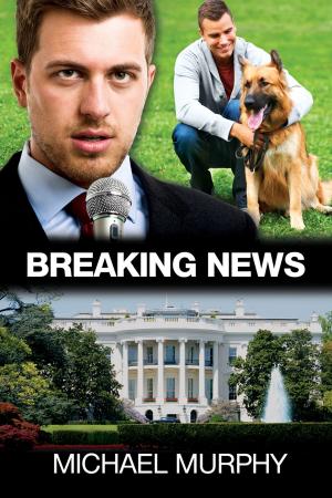Cover of the book Breaking News by Amy Lane