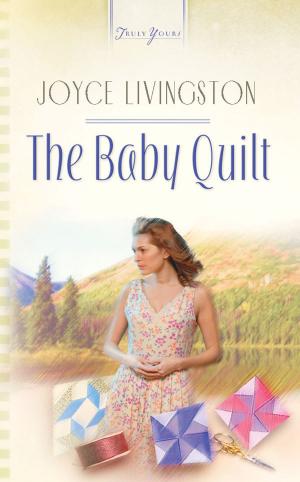 Book cover of The Baby Quilt