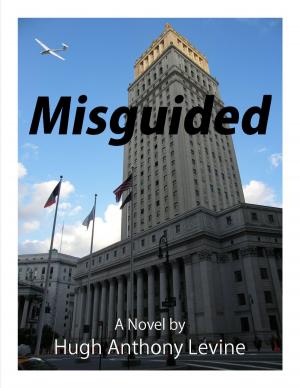 Cover of the book Misguided by Gizmo, The Puzzled Puppy